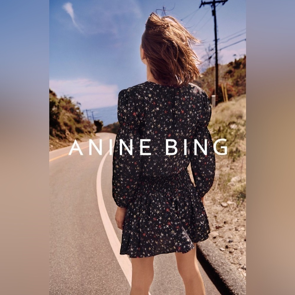 Anine Bing Star Printed Martha Dress 100% Silk